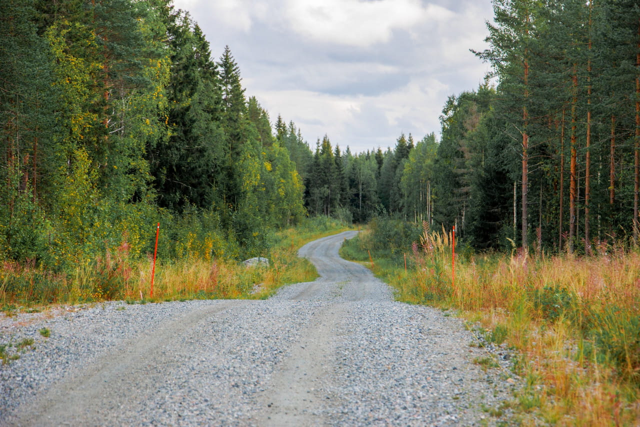 Metsätalouden tukiin tulee muutoksia vuodenvaihteessa