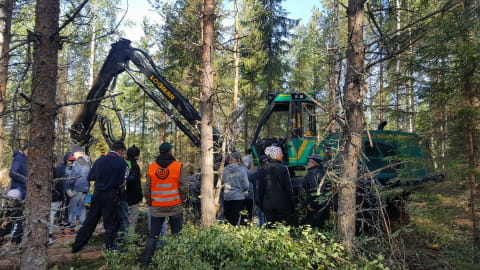 Mhy Pyhä-Kala suuri metsäpäivä