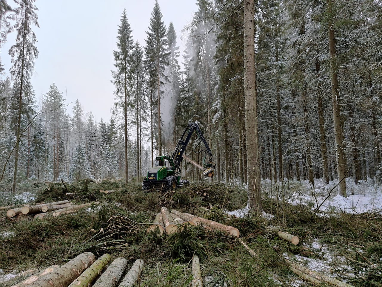 Puukauppamäärät vahvistuneet loppuvuotta kohden