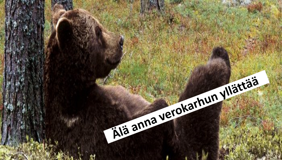 Metsäverokoulutus Ylivieskassa