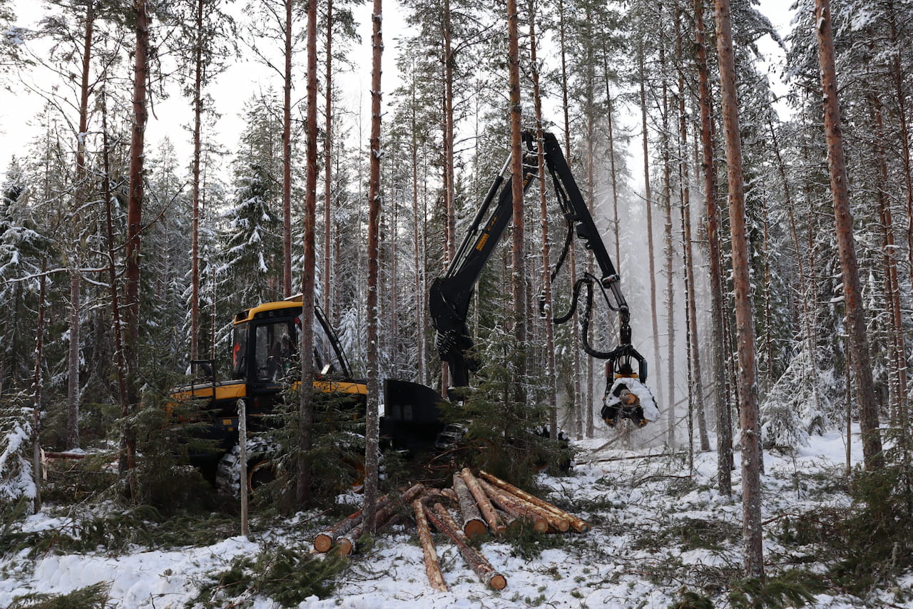 Puukauppaa ei kannata halpuuttaa