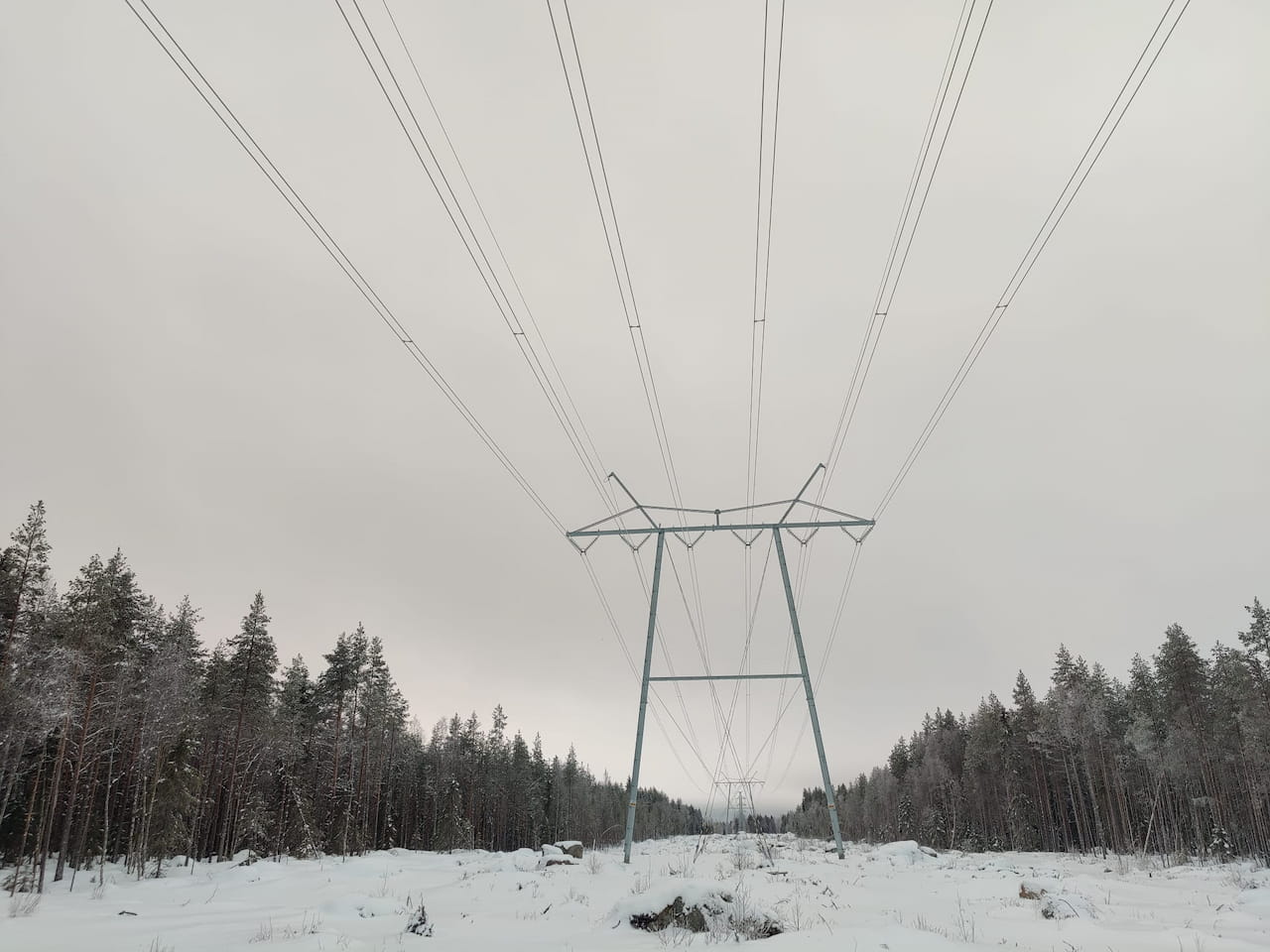 Tiedote linjahakkuiden puukaupoista