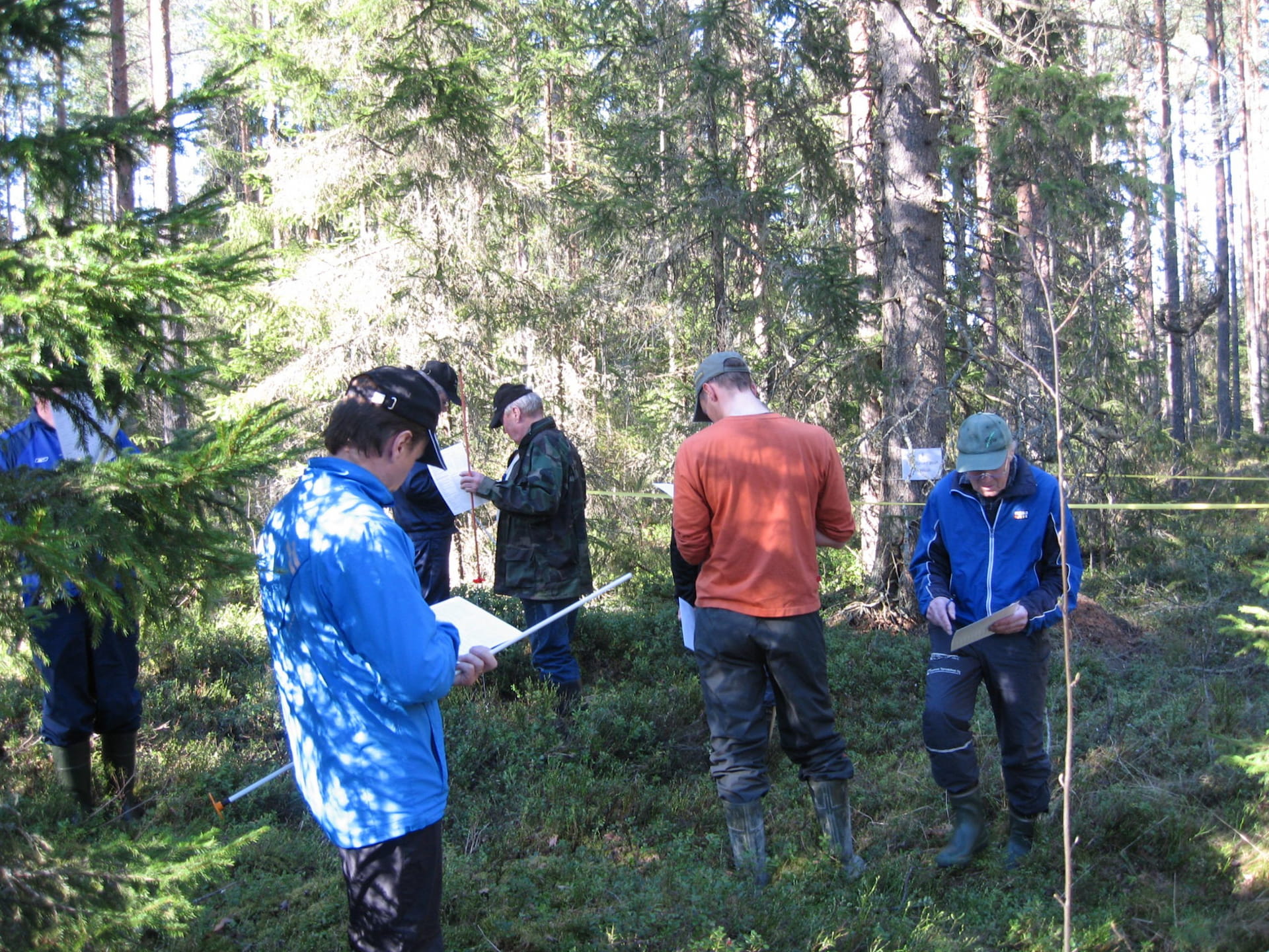 Metsätaitokilpailut  Oulaisissa