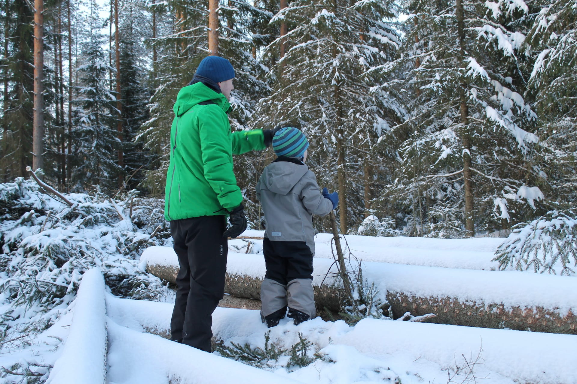 Metsätilan omistajanvaihdos