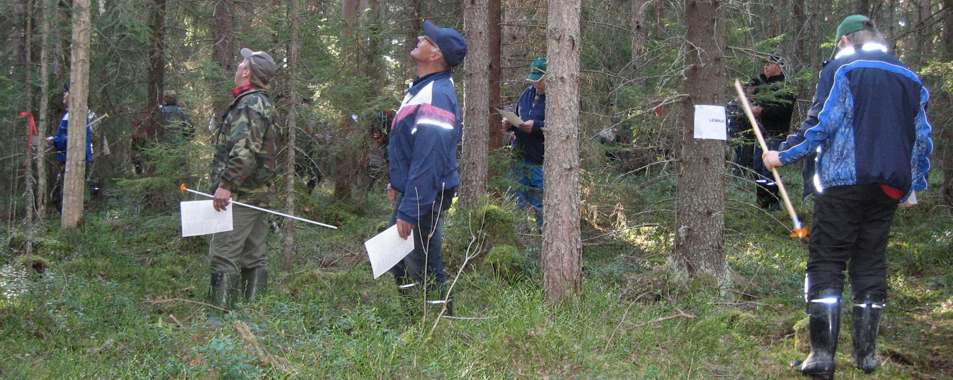 Metsänhoitoyhdistysten yhteiset Metsätaitokilpailut Haapavedellä 13.5.