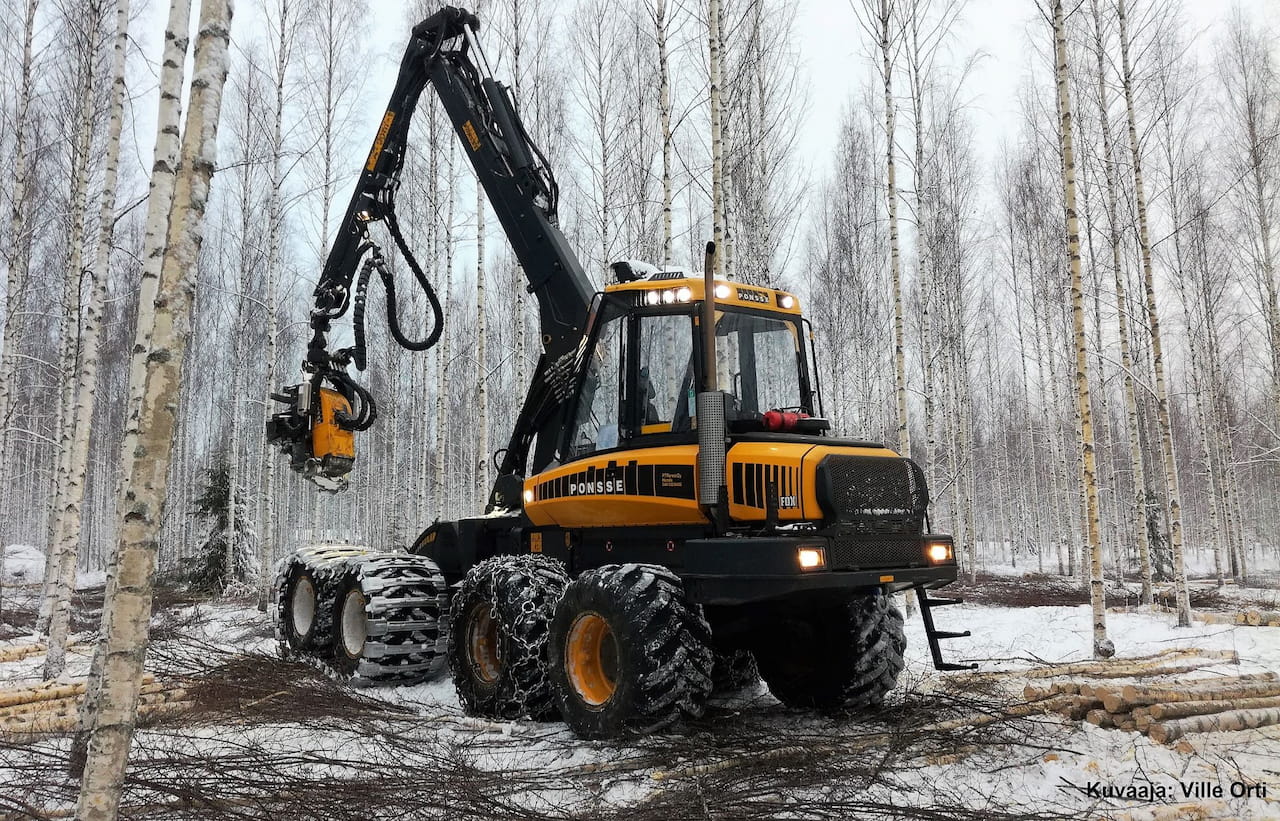 Puun hinta Päijät-Hämeessä 1-2/2023