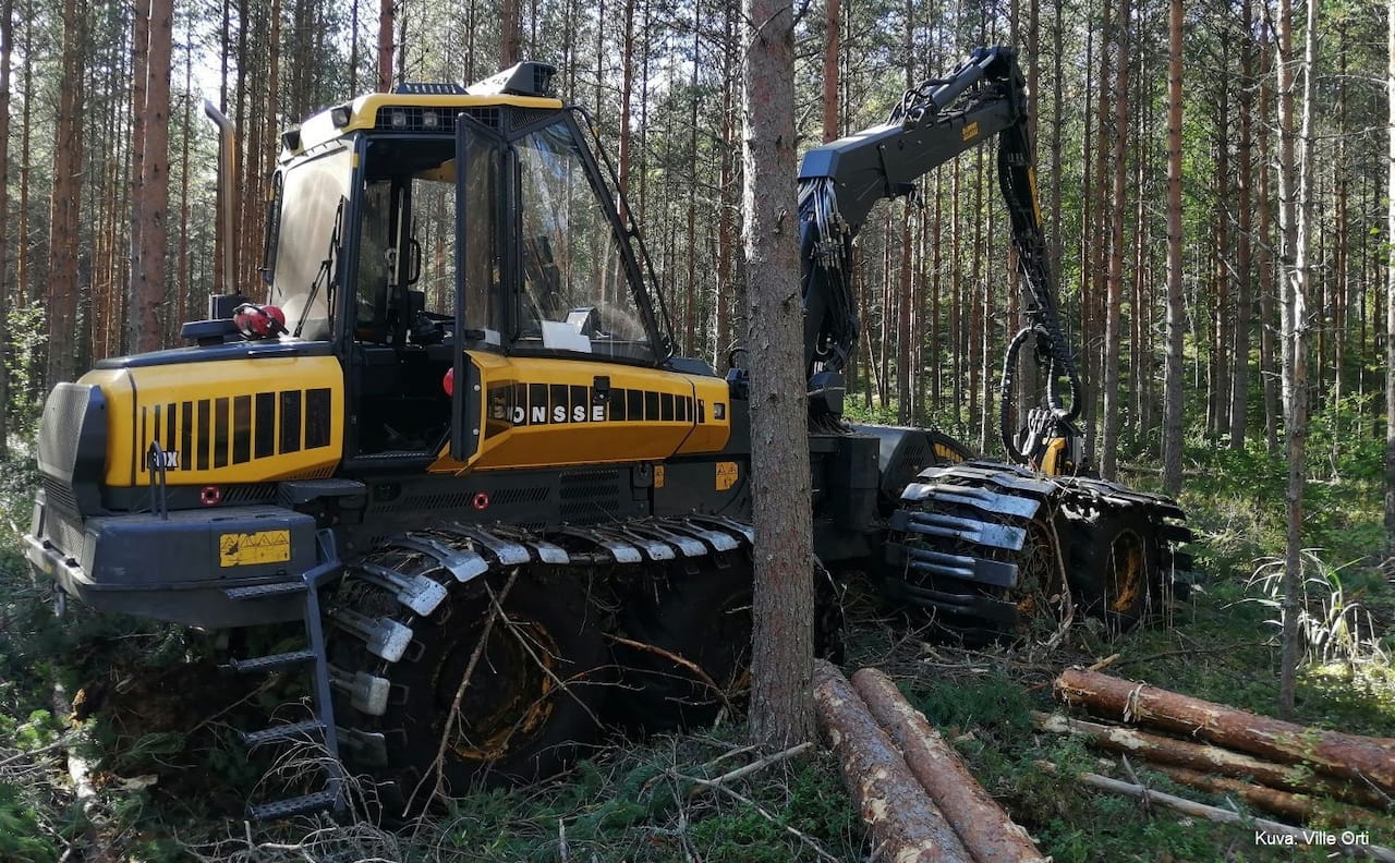 Puun hinta Päijät-Hämeessä 4-5/2023