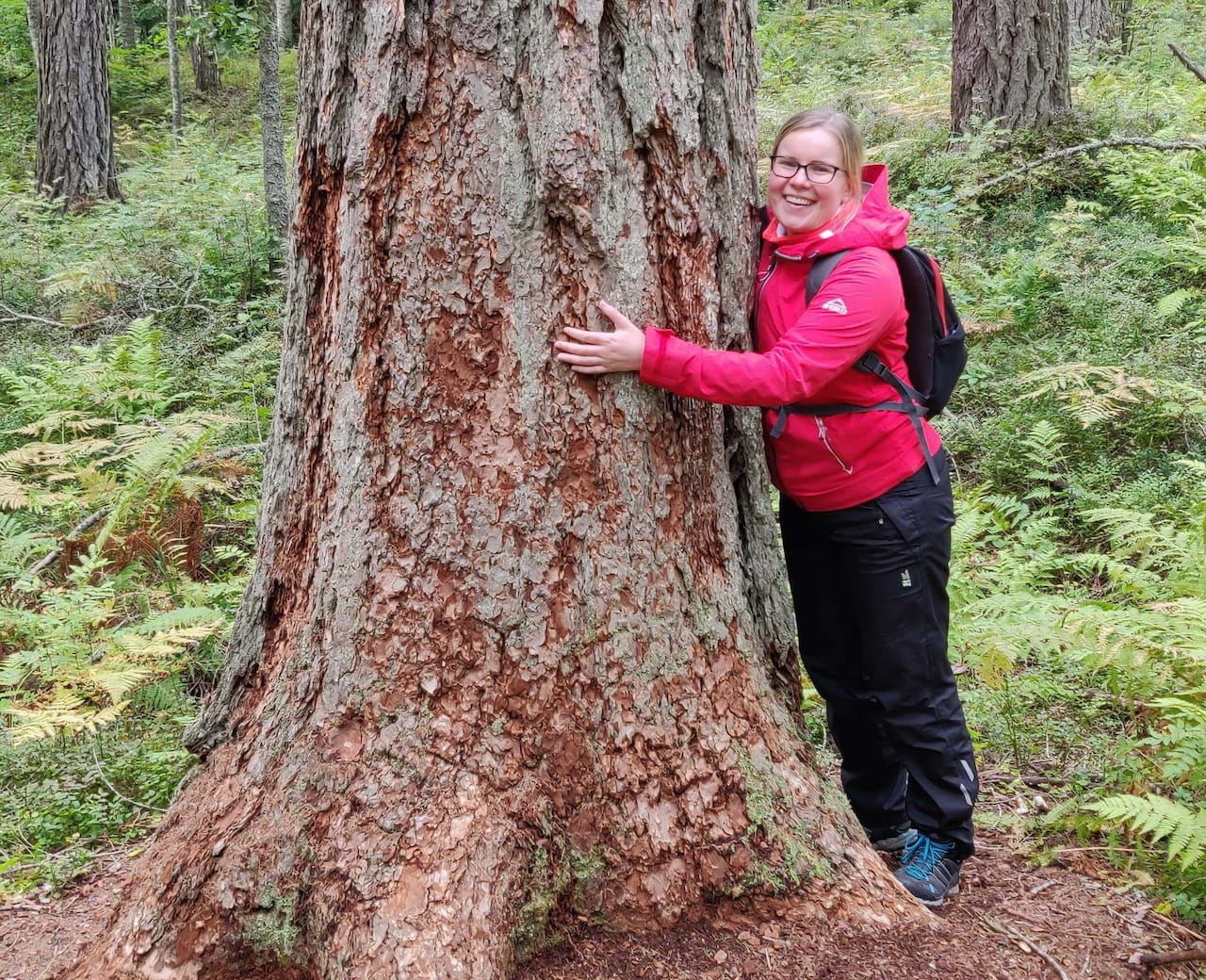 Metsäasiantuntija vaihtui Kärkölässä