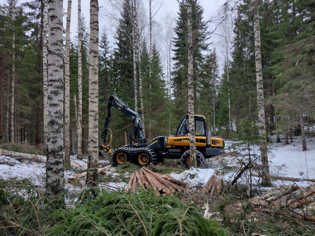 harvennushakkuu