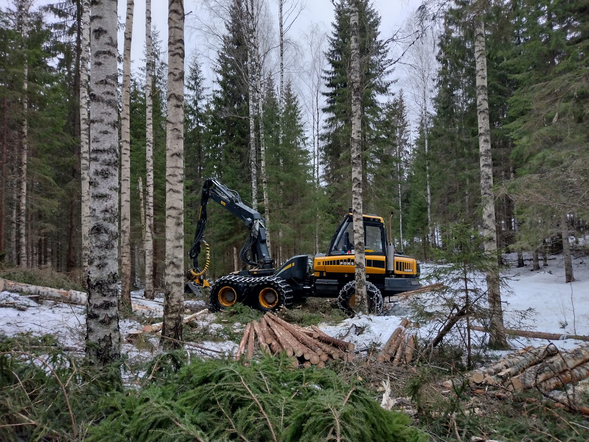 harvennushakkuu