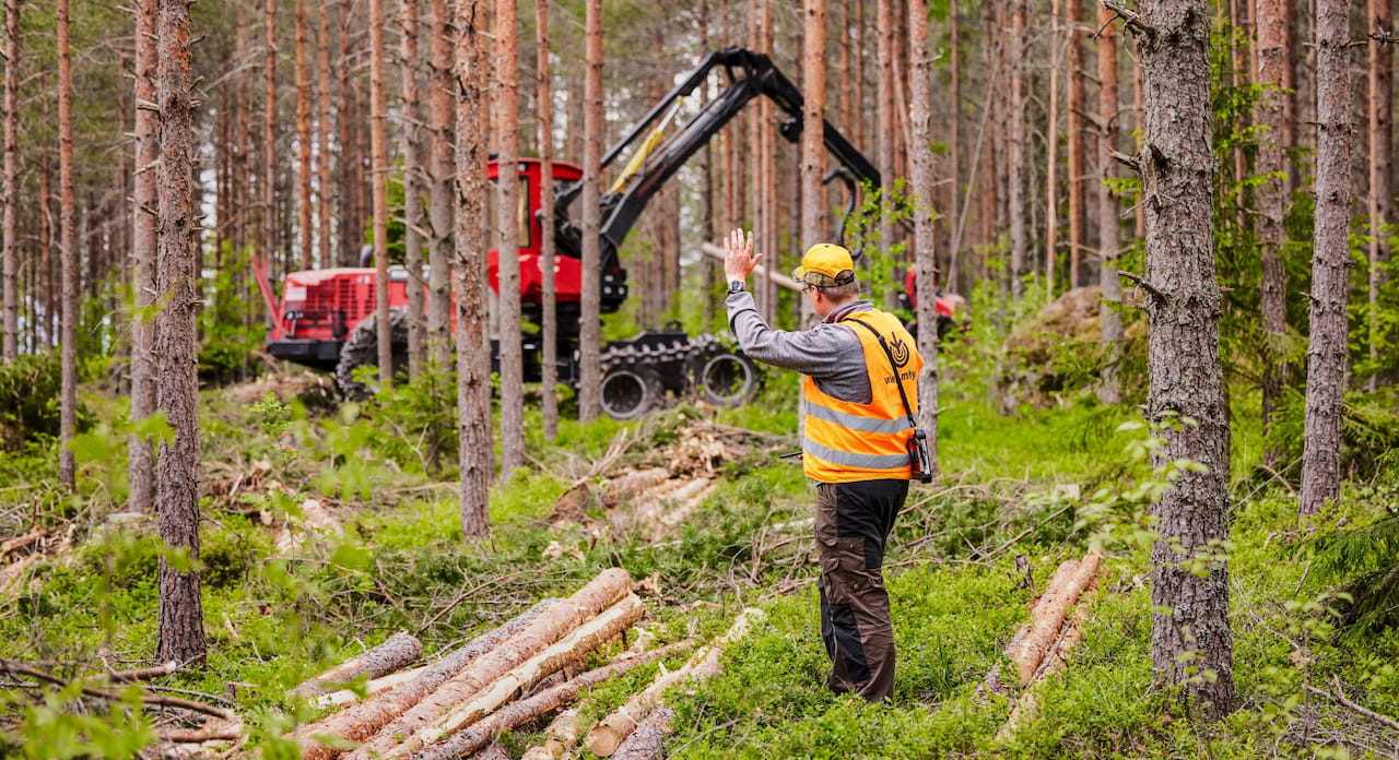Puun hinnat Päijät-Hämeessä huhtikuussa 2025