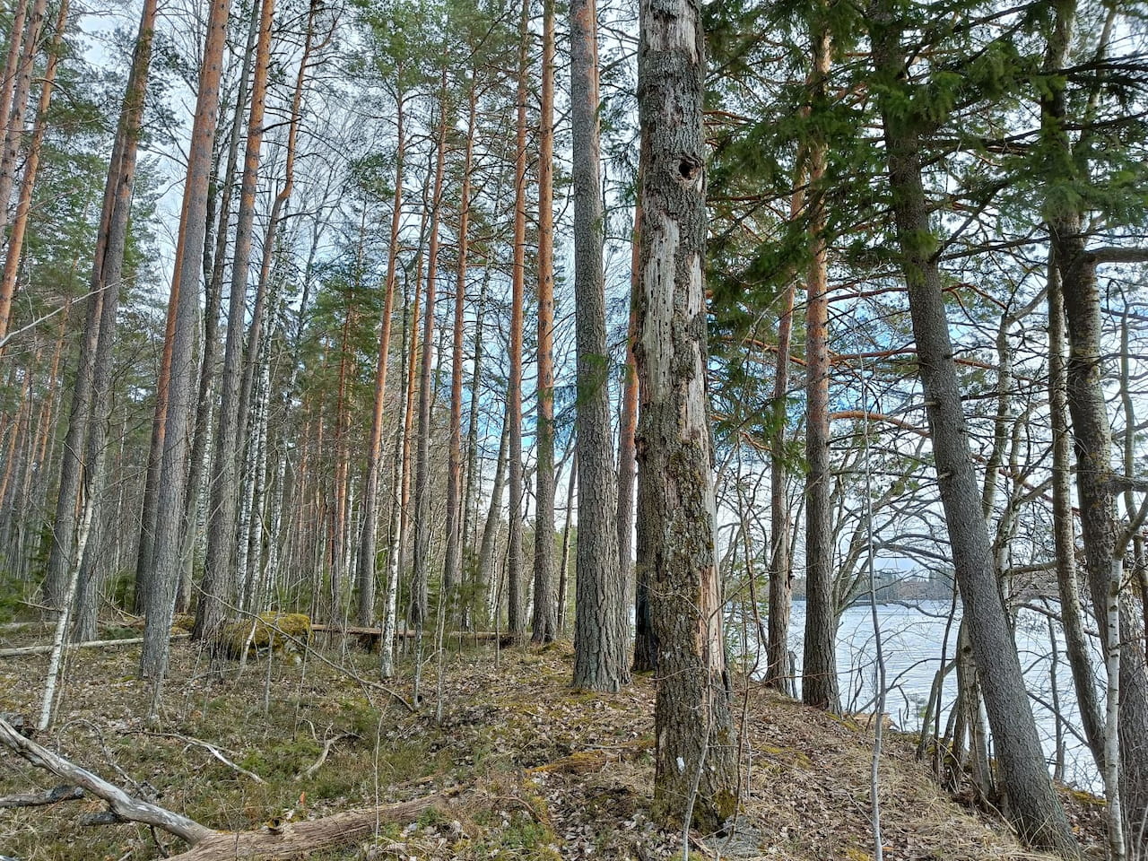 Kolmas kierros ympäristötukea