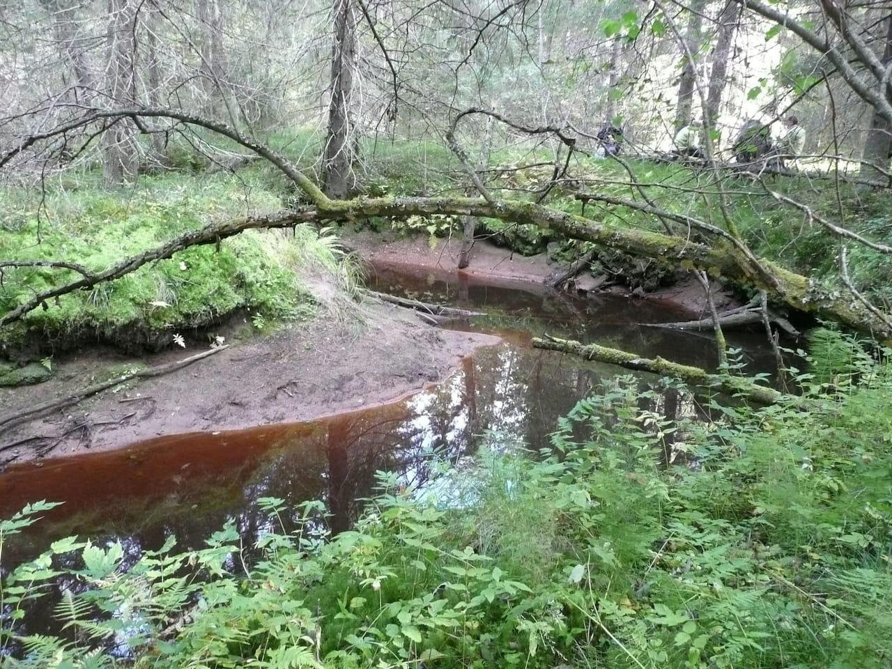 Mhy Päijät-Hämeelle rahoitusta Koneen säätiöltä