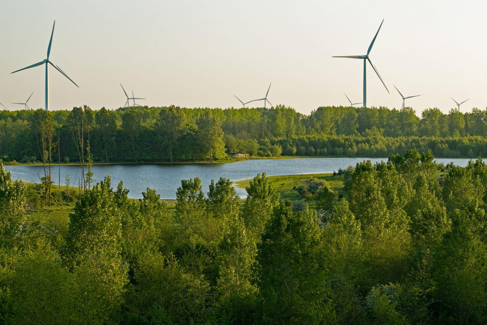 Tuulivoimailta Kuhmalahdella