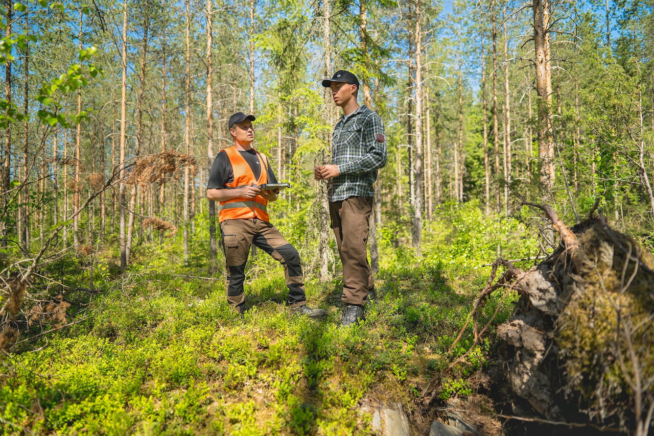 Mitä uutta metka - metsätalouden kannustejärjestelmä tuo mukanaan?