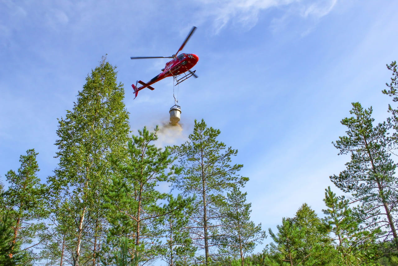 Savotta ja sen metsänomistajajäsenet jälleen metsänhoitoyhdistysten ykkönen