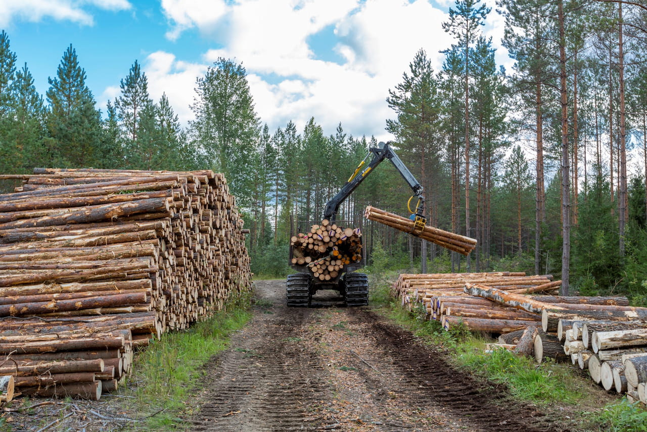 Ajokone pinoaa puita varastopaikalla.