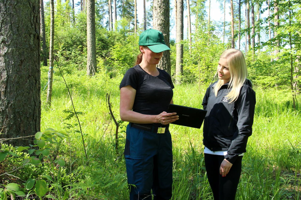 Savotan korjuupalvelu on vahva nuorten kasvatusmetsien kunnostaja