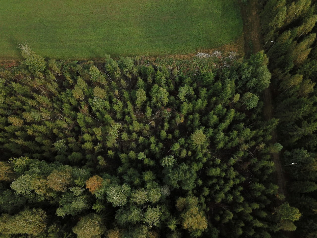 Kaupungit tarvitsevat maaseutua