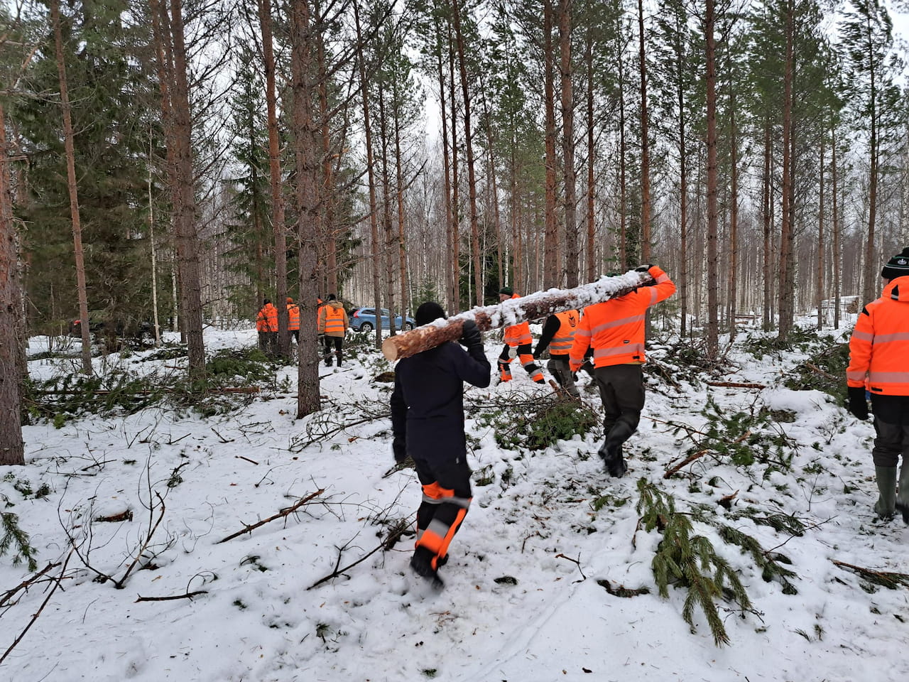 Puumarkkinakatsaus 11.4.2023