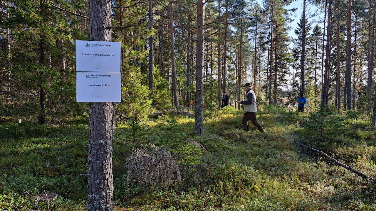 Metsätaitokilpailuiden tulokset