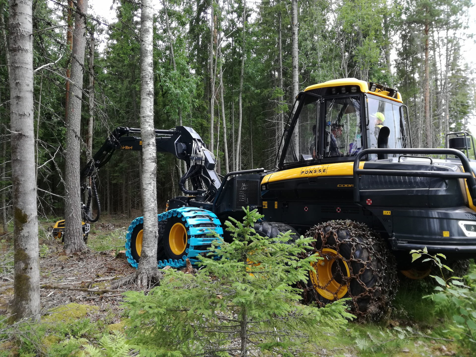 Hakkuunäytös