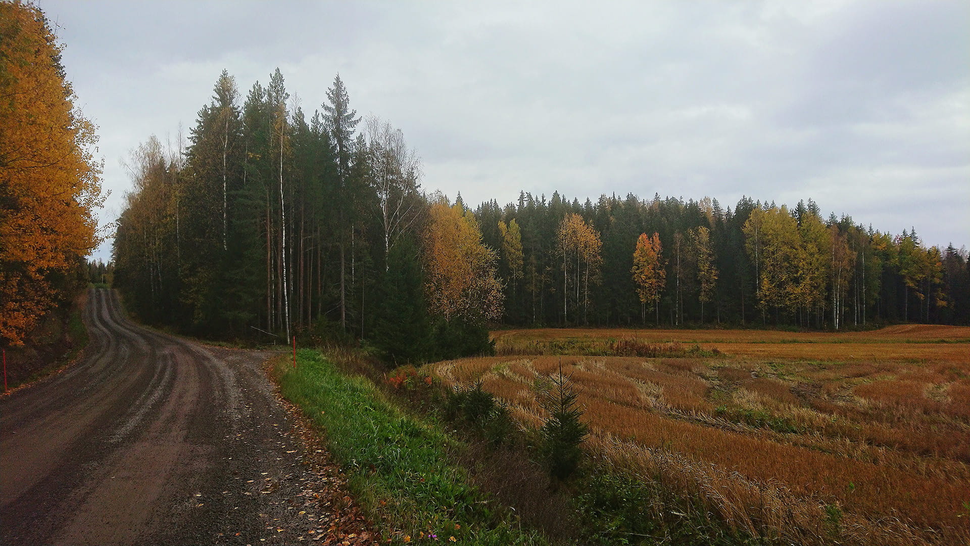 Metsänhoitoyhdistys Uusimaa