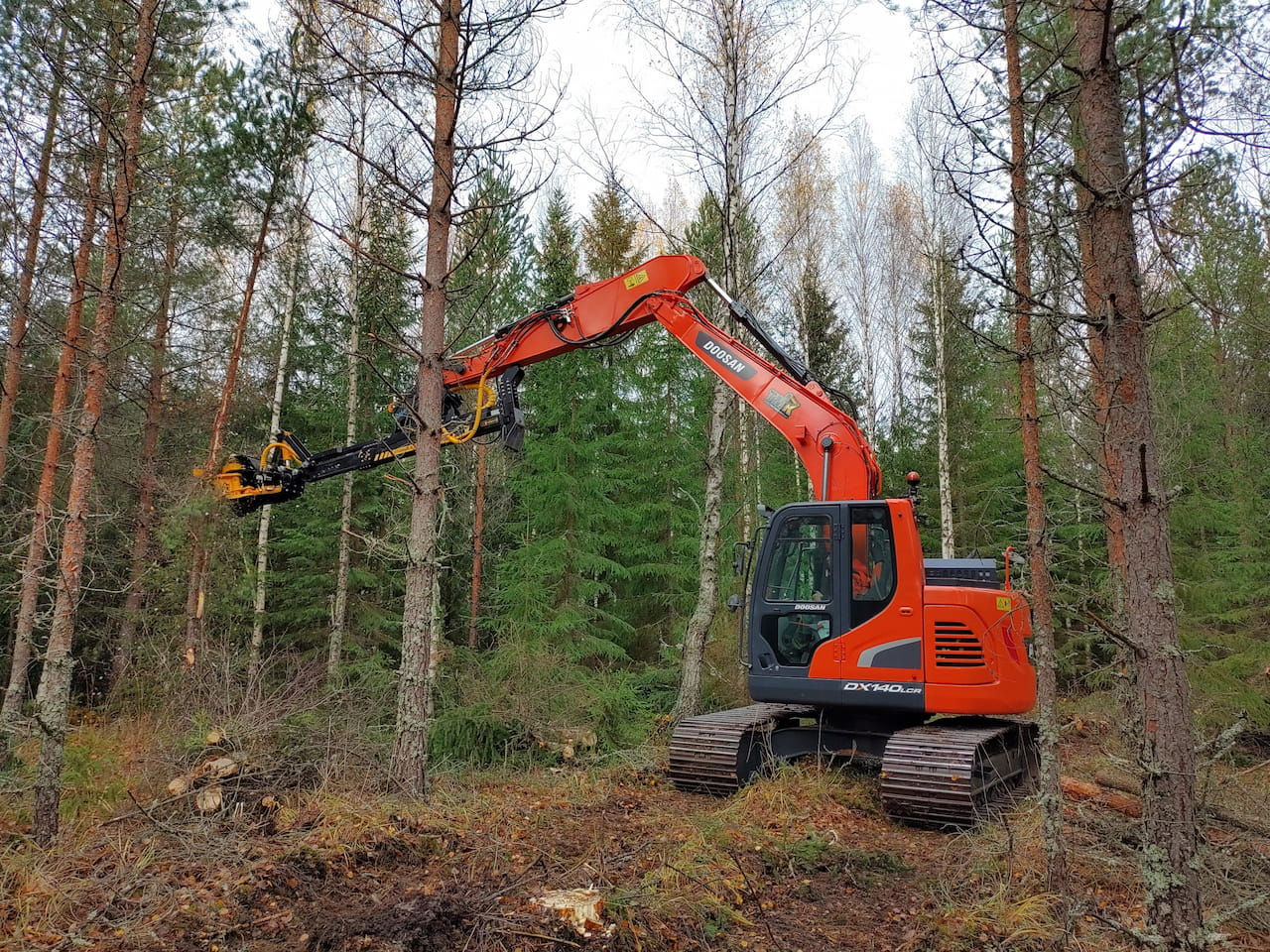Korjuunäytös keräsi runsaan joukon energiapuun korjuusta kiinnostuneita