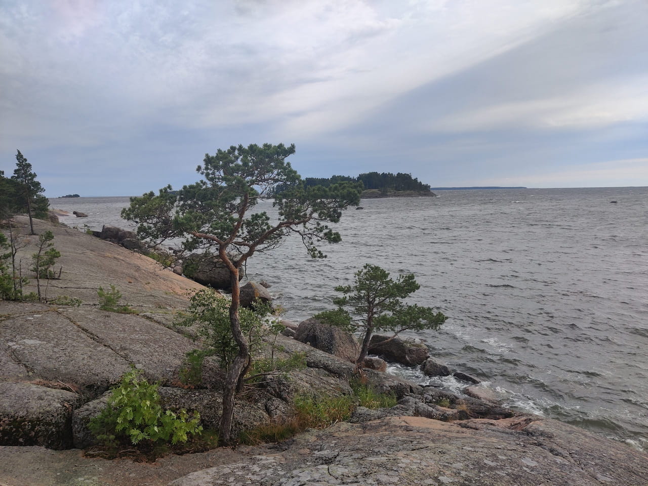 Metsänomistajan päivä Kotkassa 26.11.2022