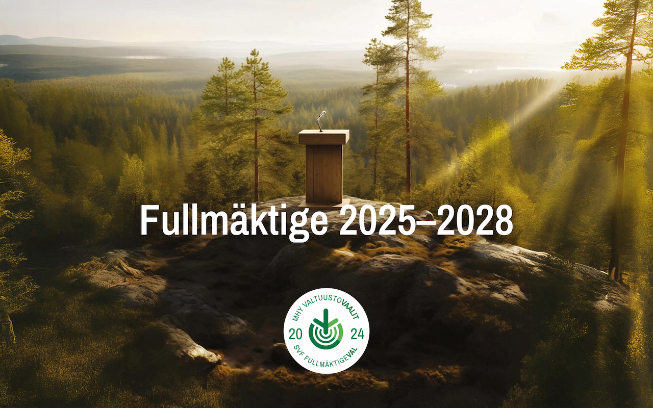 fullmäktigevalet