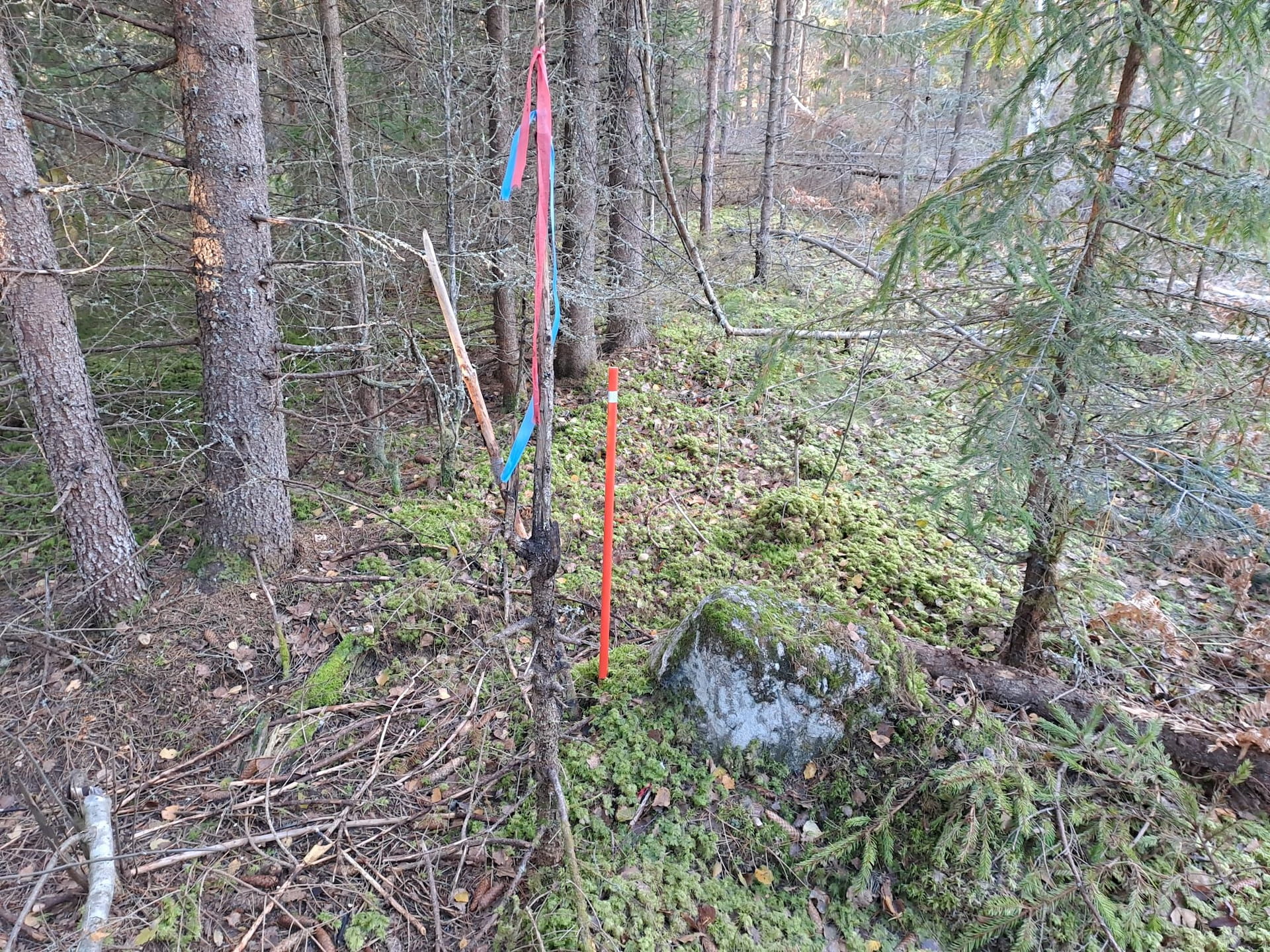 Rajakivi, värikästä kuitunauhaa ja oranssinen aurausviitta