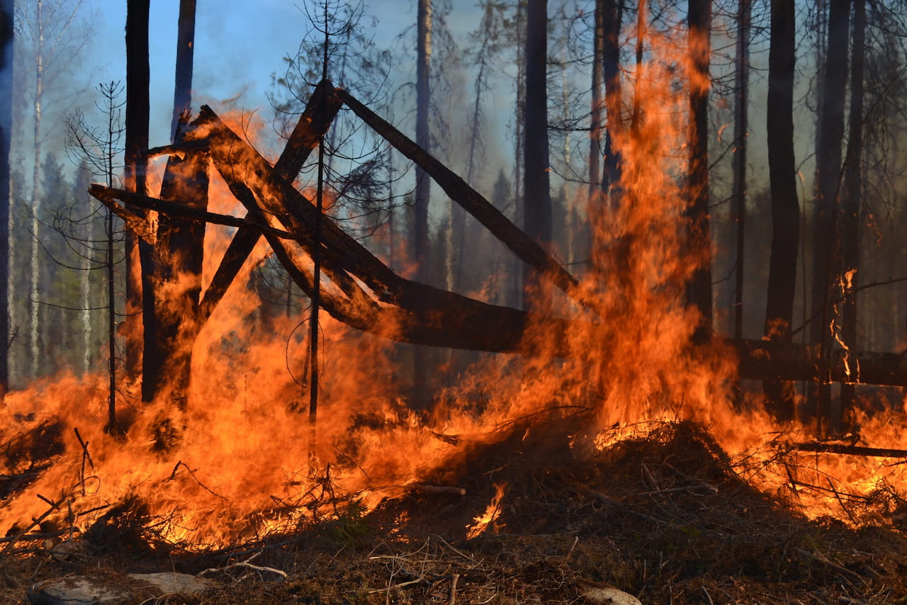 Metsänhoitoyhdistys Etelä-Karjala ja TeMePa Infra Oy yhteistyöhön kulotus- ja tiepalvelujen tuottamisessa