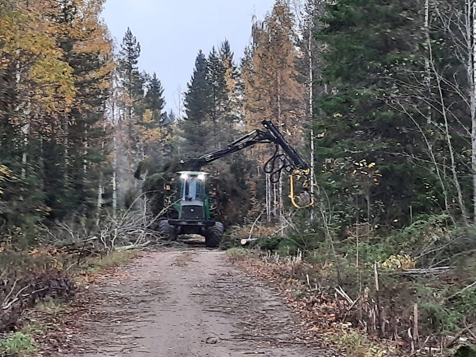 Tervetuloa metsätien reunapuuston poiston työnäytökseen Seinäjoelle