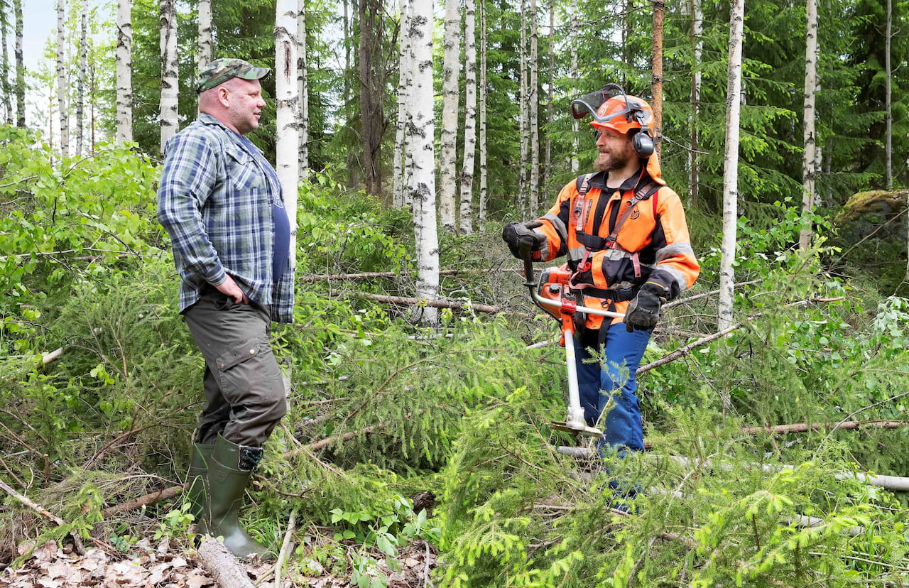 Metsätalouden tukien määrät ja tukiehdot saivat vahvistuksen