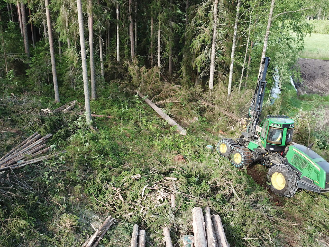 Puumarkkinakatsaus kesäkuu 2023