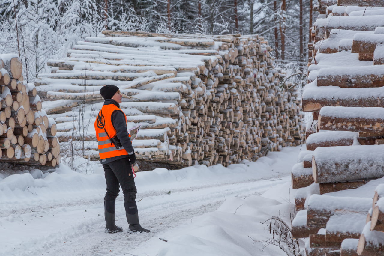 Mhy Etelä-Savon metsäasiantuntija Taina Kekkonen on valittu Vuoden Metsäasiantuntijaksi (Meto ry)
