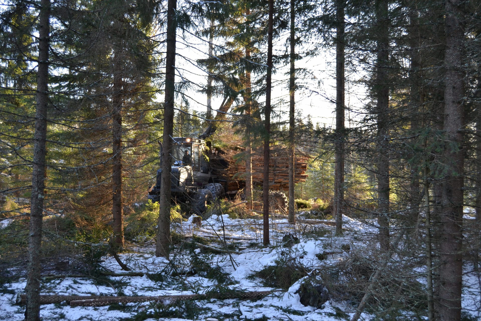Ajokone kuorma päällä.