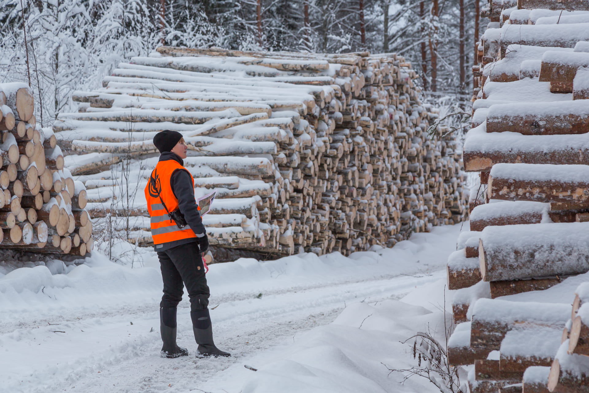 Metsäilta Juvalla