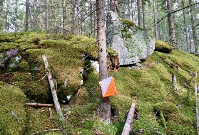 Blogi: Ettei kukaan eksy – johtajuus tekoälyaikakauden metsässä