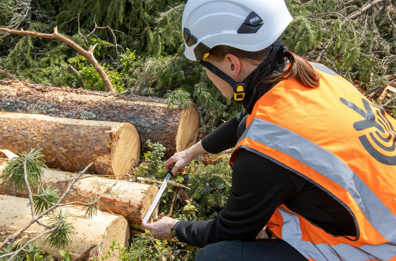 Oma metsäasiantuntija on paikallinen metsäammattilainen