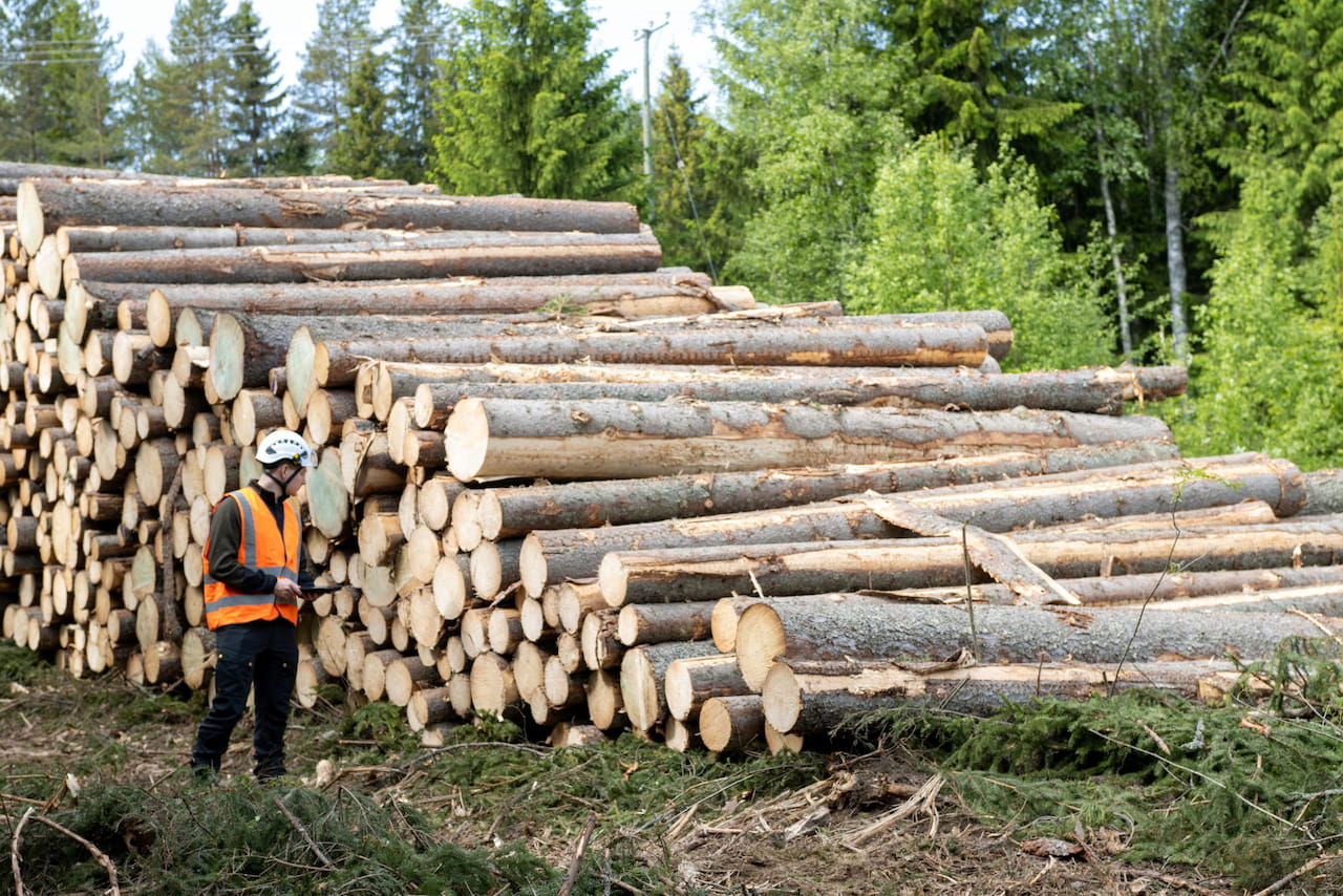 Etelä-Savon puumarkkinakatsaus: Alkuvuoden puukauppahuippu toukokuussa