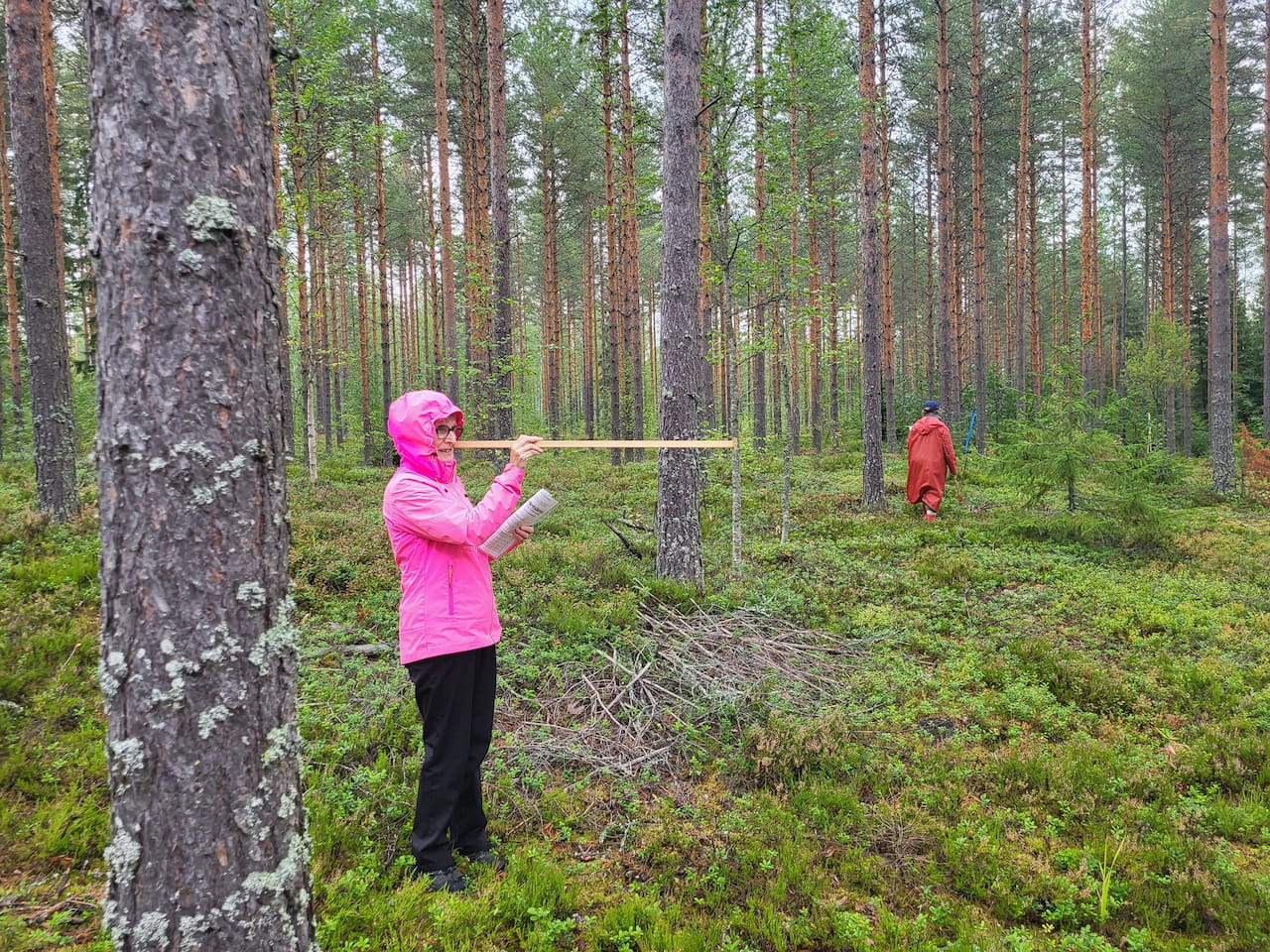 Metsätaitokilpailut la 30.8.2025 Kerimäen Harjumajalla - tulokset ja tunnelmat