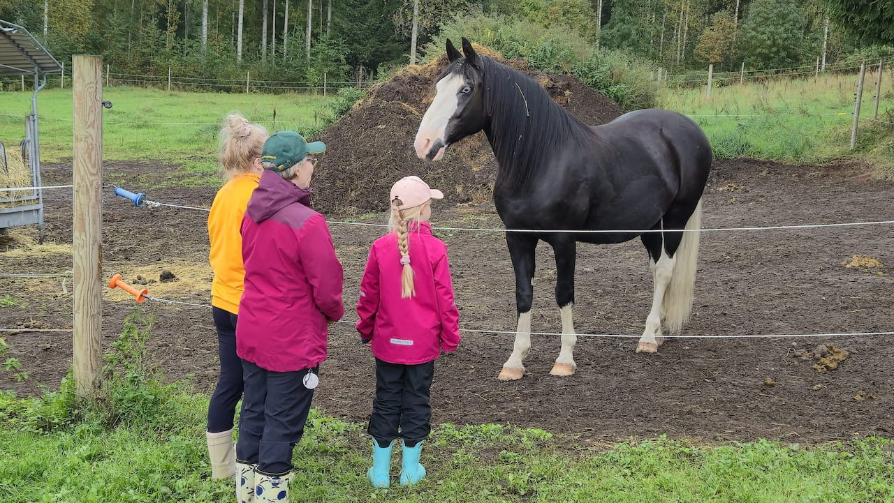 Maa- ja metsäpäivä Farmila tilalla 13.9.2025 oli yleisömenestys!