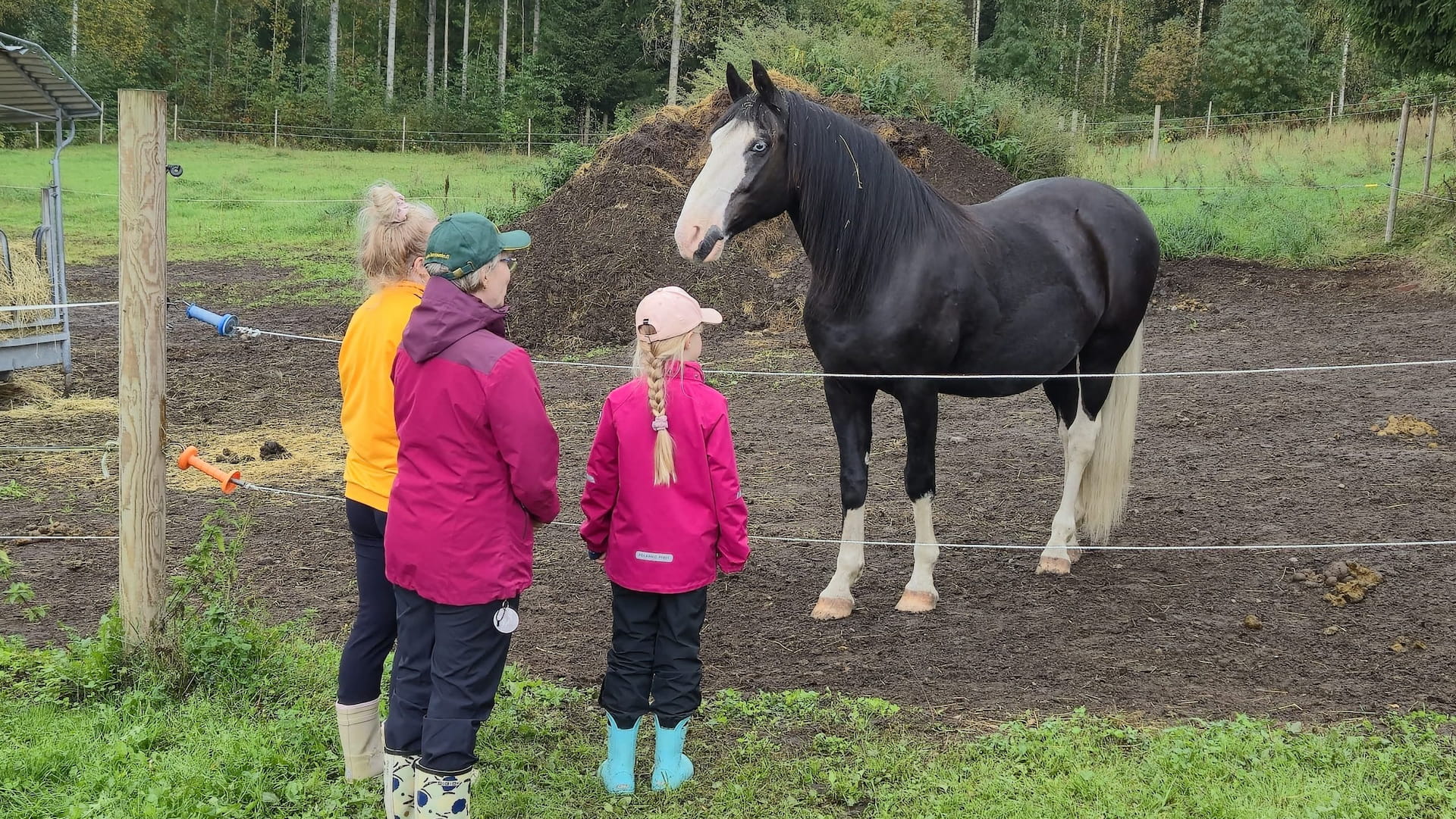 Maa- ja metsäpäivä Farmila tilalla 13.9.2025 oli yleisömenestys!