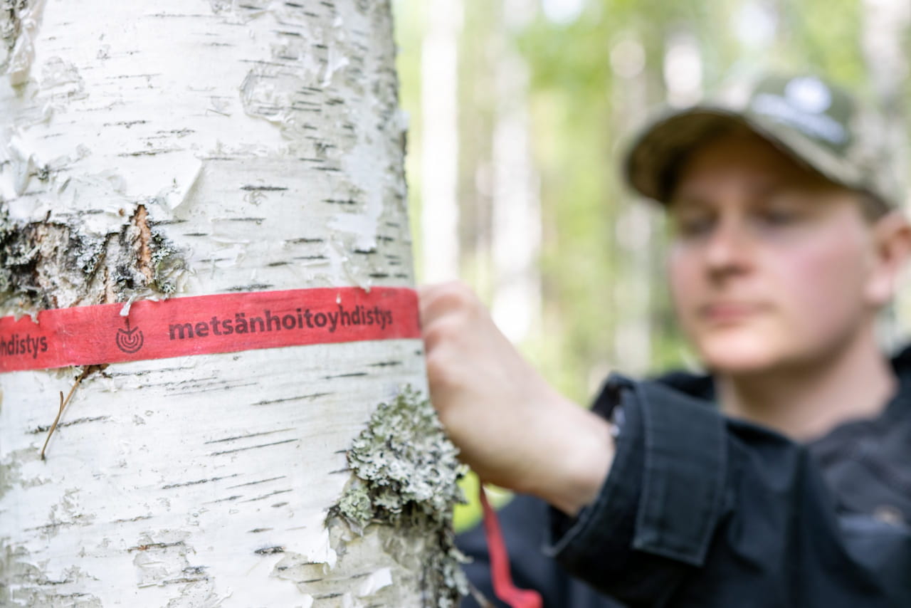 Metsänhoitoyhdistys Etelä-Savo vahvistaa metsänomistajan asemaa – edunvalvonta uudelle tasolle