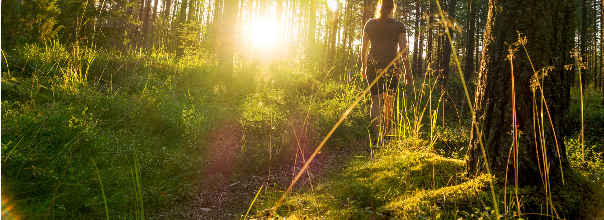 Kesällä mennään Omaan Metsään