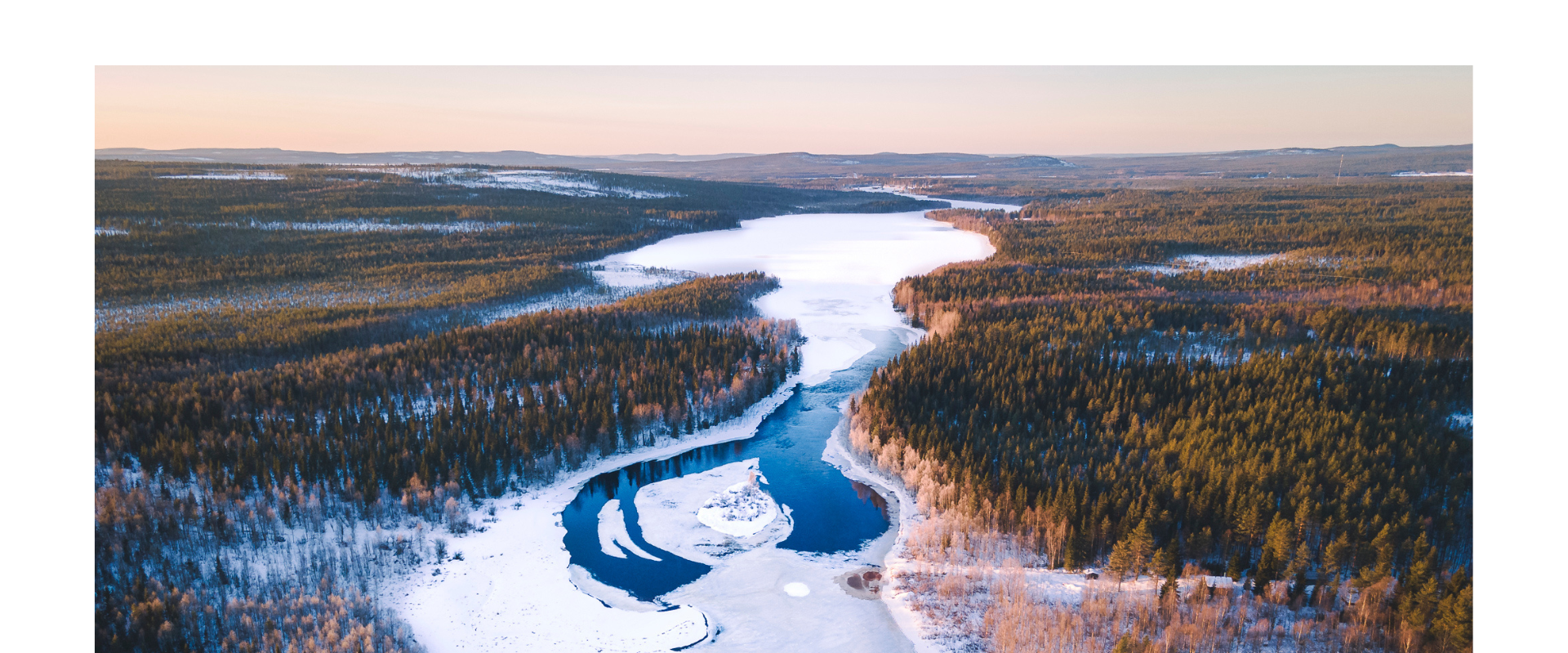 Metsänhoitoyhdistys tuntee metsäsi