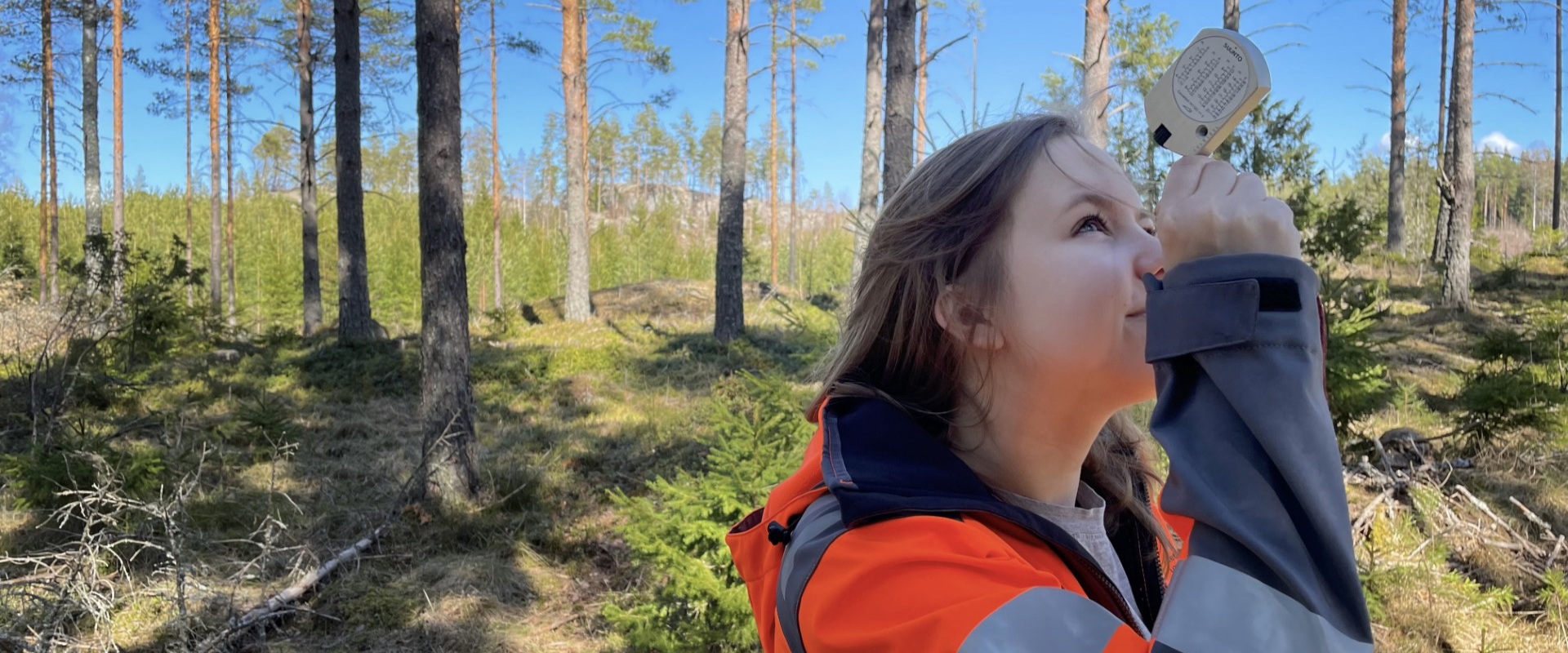 Oma metsäasiantuntijasi tuntee metsäsi