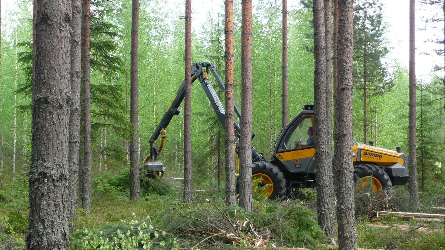 moto harvennus leimikolla