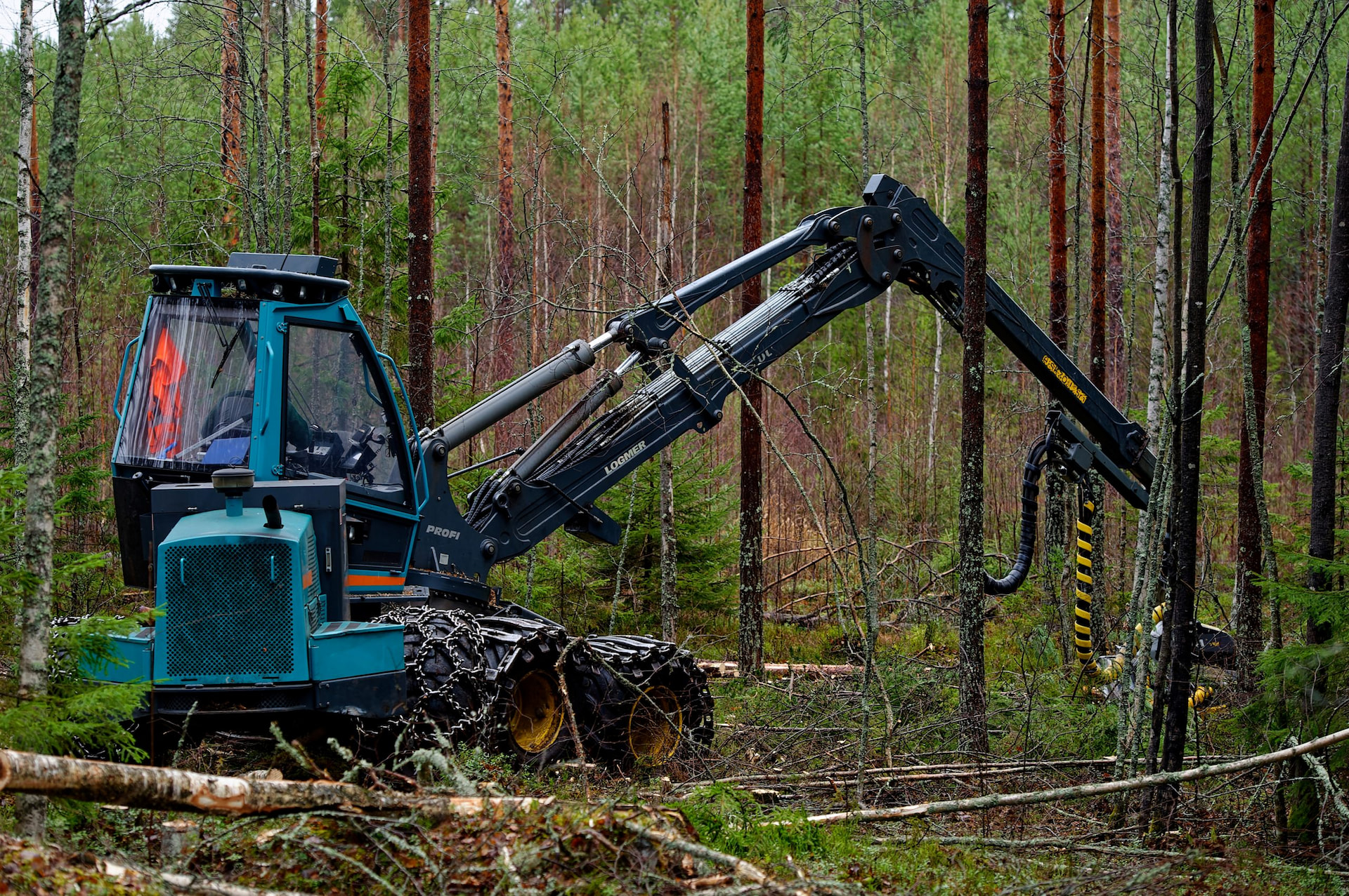 Korjuunäytös Mäntyharjun Väliniemessä 2.9.2023